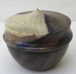 DSCN0557.jpg