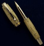 Gator Jr. Statesman_1.jpg