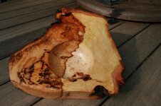 2011 Easter 042 - Web.jpg