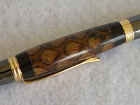 Anaconda Squire Close.jpg