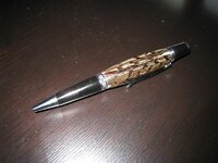 Picture 125 (Medium).jpg