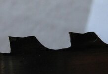 IMG_5992.jpg