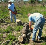 IMG_5195 (Small).jpg