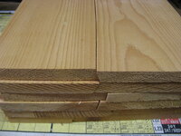 pine0001.JPG