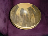DSC02255.JPG