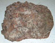 burl1.jpg