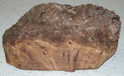 burl3.jpg