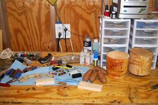 DSC_0041 (Small).JPG