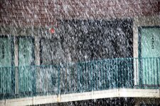 Snow Flagstaff 3.jpg