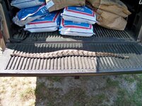 100_2358 (700x525).jpg