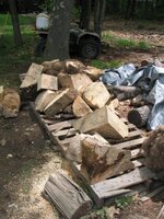 BDB Shed OS.jpg