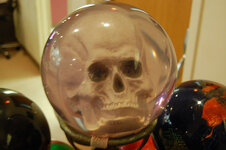skull.jpg