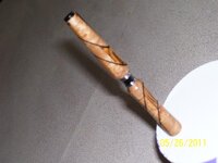 100_1223.jpg