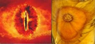 pith sauron.jpg