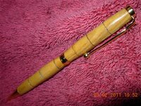 DSCN0827 (Small).JPG