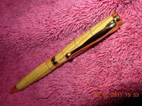 DSCN0829 (Small).JPG