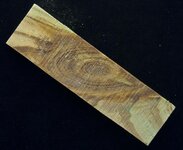 Spring PITH 2011_1.jpg