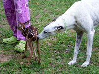 100_1441 (700x525).jpg