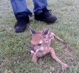 0526090933a (700x650).jpg