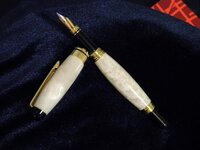 DSCN5950.jpg