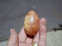 redwood burl egg-1.jpg