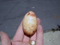 Redwood burl egg-2.jpg Redwood burl egg-2.jpg