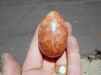 Redwood burl egg-4.jpg Redwood burl egg-4.jpg