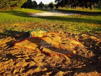 Golden Cypress stump removal & burning! 031a.jpg