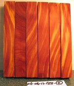 IMG_3590 (Small).JPG