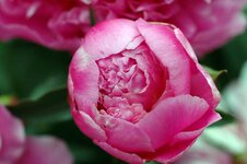 DSC_2122.jpg