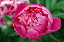 DSC_2123.jpg