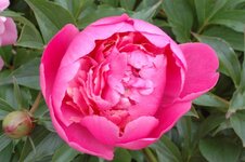 DSC_2117.jpg