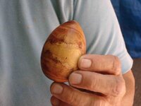 Cindys egg.jpg