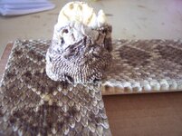 100_7976.jpg
