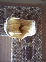 100_7977.jpg