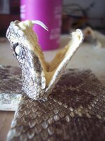 100_7978.jpg