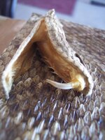 100_7983.jpg