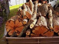 Timbers preparation 105_(1).jpg