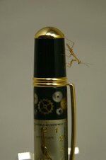 mantis.jpg