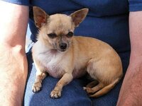 2009_0822aug20090040 small.jpg