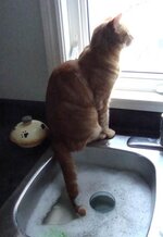 Richard on Monday Morning.jpg