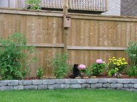 DSCF7320 (Small).JPG