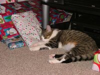 DSCF8337 (Small).JPG