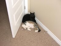 DSCF8039 (Small).JPG