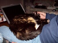 Oct2010-Jan 2011 058.jpg