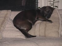 Resize of Resize of 2007-05-22 018.JPG