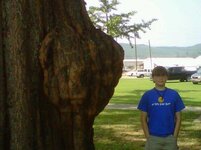 Oak Burl - Zinn Park.jpg