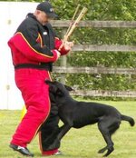 Hans Akerbaak - Sassy Face Attack 05-22-05.jpg