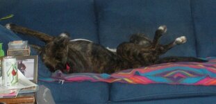 DSCN2457 (1024x494) (640x309).jpg