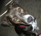 DSCN2448 (640x569).jpg